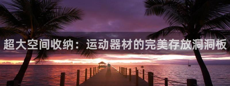 意昂5(KGAME)娱乐40996:超大空间收纳:运动器材的